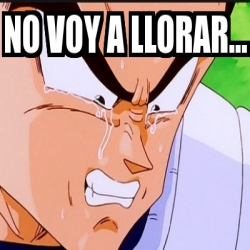 Meme Personalizado - no voy a llorar... - 31335316