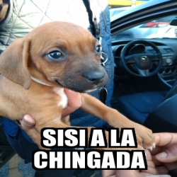 Meme Personalizado - Sisi a la chingada - 31378218