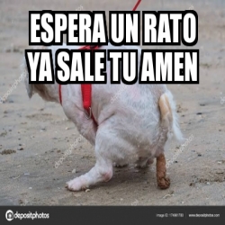 Meme Personalizado Espera Un Rato Ya Sale Tu Amen