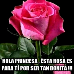 Meme Personalizado - Hola princesa , Ã©sta rosa es para tÃ por ser tan  bonita !!! - 31058031