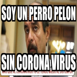 Meme Personalizado - SOY UN PERRO PELON SIN CORONA VIRUS - 31540169