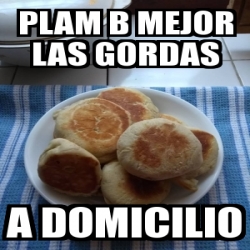 Meme Personalizado - Plam B Mejor Las Gordas A Domicilio - 31551541