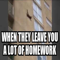 have a lot of homework meme