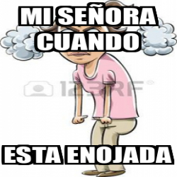 Meme Personalizado - Mi señora cuando Esta enojada - 31871212