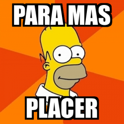 Meme Homer - parA mas placer - 31945792