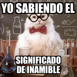 Meme Chemistry Cat - yo sabiendo el significado de inamible - 32107800