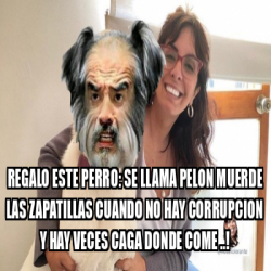 Meme Personalizado - regalo este Perro: se llama pelon muerde las ...