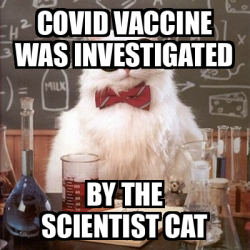 Meme Chemistry Cat - covid vaccine was investigated by the scientist ...
