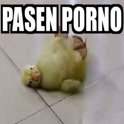 Pasen Porno - Meme Personalizado - pasen porno - 32456586