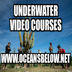 Meme Personalizado - Underwater Video Courses www.oceansbelow.net