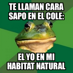 Meme Foul Bachelor Frog Te Llaman Cara Sapo En El Cole El Yo En Mi Habitat Natural