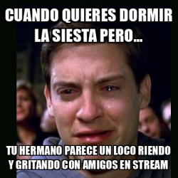 Meme crying peter parker - Cuando quieres dormir la siesta pero… Tu ...