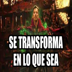 Meme Personalizado - se transforma en lo que sea - 33111838