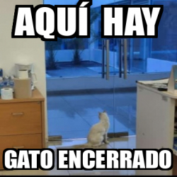 Meme Personalizado Aqu Hay Gato Encerrado