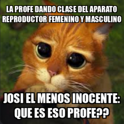 Meme Personalizado La Profe Dando Clase Del Aparato Reproductor