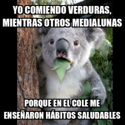 Meme Koala - Yo comiendo verduras, mientras otros medialunas Porque en ...