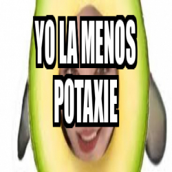 Meme Personalizado Yo La Menos Potaxie