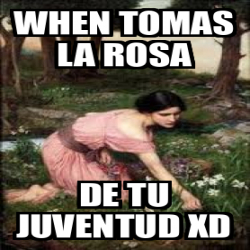 Meme Personalizado When Tomas La Rosa De Tu Juventud Xd