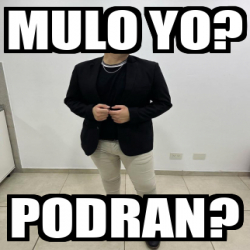 Meme Personalizado - Mulo yo? Podran? - 33216965