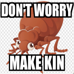Meme Personalizado - Don't worry make kin - 33222475