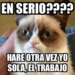 Meme Grumpy Cat En Serio Hare Otra Vez Yo Sola El Trabajo 33223804