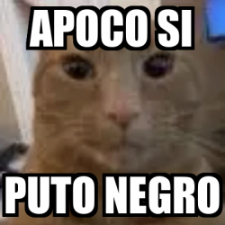 Meme Personalizado Apoco Si Puto Negro