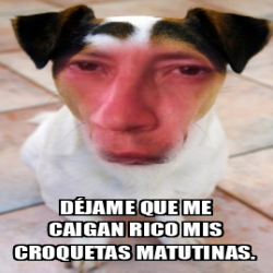 Meme Personalizado Déjame que me caigan rico mis croquetas matutinas 33251198