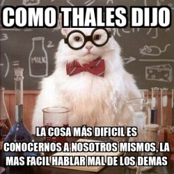 Meme Chemistry Cat Como Thales Dijo La Cosa M S Dificil Es Conocernos A Nosotros Mismos La