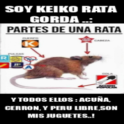 Meme Personalizado - SOY KEIKO RATA GORDA ..: Y TODOS ELLOS : ACUÑA ...