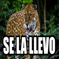 Meme Personalizado - Se La Llevo - 33271323