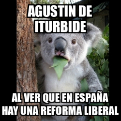 Meme Koala - Agustin de Iturbide Al ver que en españa hay una reforma ...