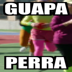 Meme Personalizado Guapa Perra