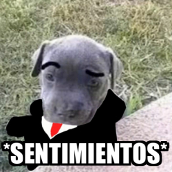 Meme Personalizado - *Sentimientos* - 33314474