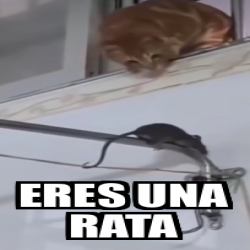 Meme Personalizado - eres una rata - 33350922