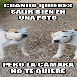 Meme Personalizado Cuando Quieres Salir Bien En Una Foto Pero La C Mara No Te Quiere