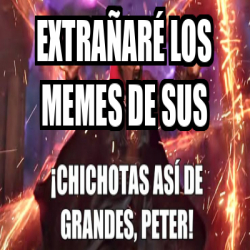 Meme Personalizado - extrañaré los memes de sus - 33381506