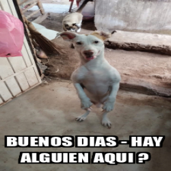 Meme Personalizado - BUENOS DIAS - hay alguien aqui ? - 33421797