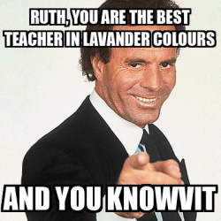 Meme Julio Iglesias - Ruth, you are the best teacher in lavander ...