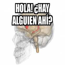 Meme Personalizado - HOLA! ¿hAY ALGUIEN AHÍ? - 33455759