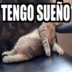 Meme Personalizado - Tengo sueño - 33463274