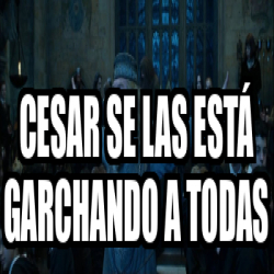 Meme Personalizado - Cesar se las está garchando a todas - 33484723