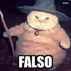 Meme Personalizado - FALSO - 33485718