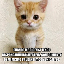 Meme Personalizado Cuando Me Dicen Si Tengo Responsabilidad Afectiva Conocimiento De Mi Mismo