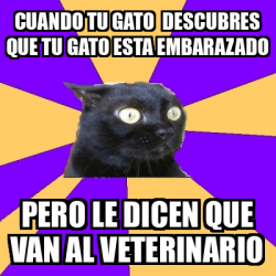 Meme Anxiety Cat Cuando Tu Gato Descubres Que Tu Gato Esta Embarazado