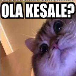 Meme Personalizado Ola Kesale