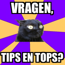 Meme Anxiety Cat Vragen Tips En Tops