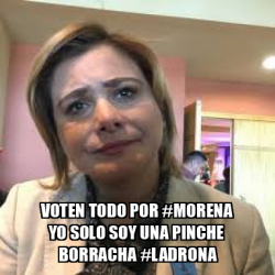 Meme Personalizado Voten Todo Por Morena Yo Solo Soy Una Pinche