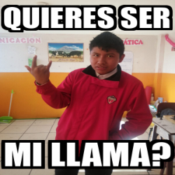 Meme Personalizado Quieres Ser Mi Llama