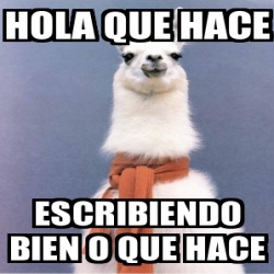 Meme Personalizado - hola que hace escribiendo bien o que hace - 4073142