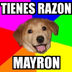 Meme Advice Dog - tienes razon mayron - 4869689